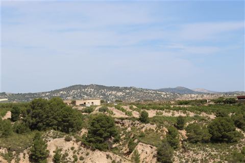 Paisaje mediterráneo con colinas