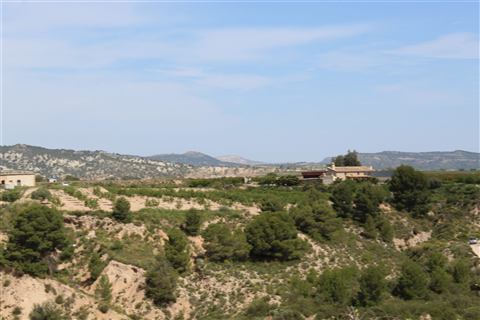 La casa entre pinares y monte